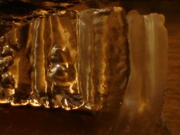 Weihnachten 2005_45